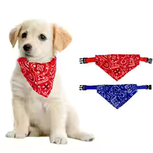 Bandana Dog Collar